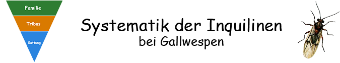 Pflanzengallen - Systematik der Inquilinen Pflanzengallen - Systematik der Inquilinen