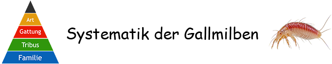 Pflanzengallen - Systematik der Gallmilben