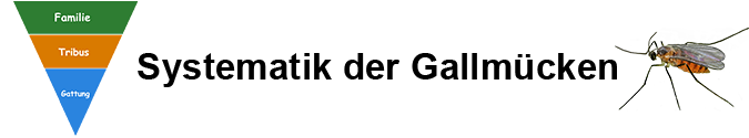Pflanzengallen - Systematik der Gallmücken (Cecidomyiidae)