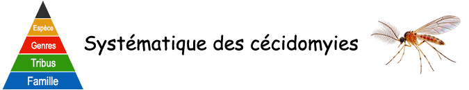 Galles végétales - Systématique des cécidomyies (Cecidomyiidae)
