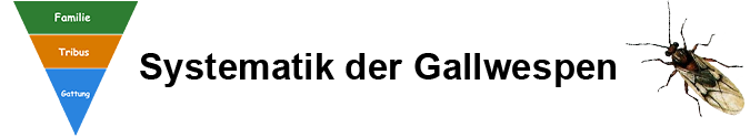 Pflanzengallen - Systematik der Gallwespen (Cynipoidea)